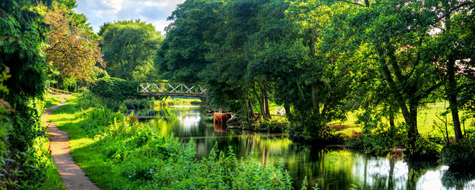 The River Wey | Guildford | Surrey